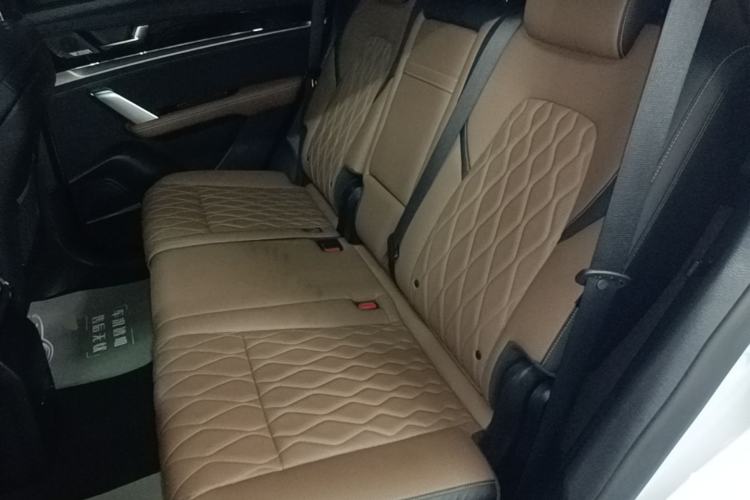 Used BYD Tang New Energy 2021 DM-i 112KM Prestige Model Left Rear Seat