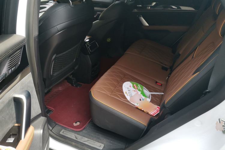 Used BYD Tang New Energy 2021 DM 2.0T Four-Wheel Drive High-Performance Flagship Model Left Rear Seat