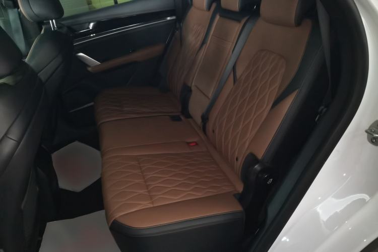Used BYD Tang New Energy 2021 DM-i 112KM Prestige Model Left Rear Seat