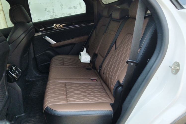 Used BYD Tang New Energy 2021 DM-i 112KM Prestige Model Left Rear Seat