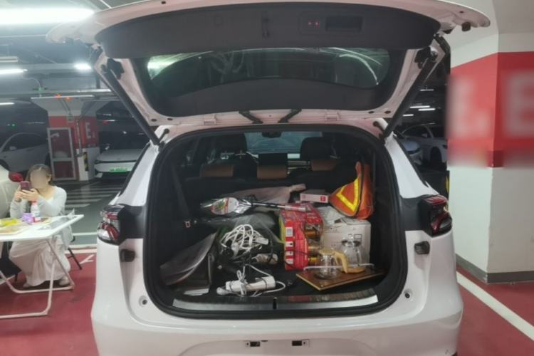 Used BYD Tang New Energy 2021 EV Four-Wheel Drive High-Performance Flagship Model Trunk