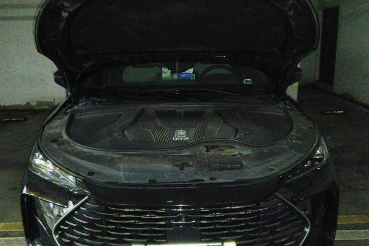 Used BYD Tang New Energy 2022 DM-p 215KM Four-Wheel Drive Flagship Model Engine Bay