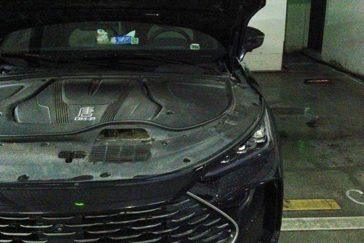 Used BYD Tang New Energy 2022 DM-p 215KM Four-Wheel Drive Flagship Model Engine Bay Left