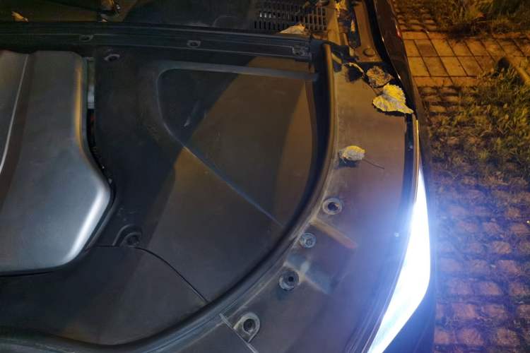 Used BYD Tang New Energy 2022 EV 730KM Luxury Model Engine Bay Left