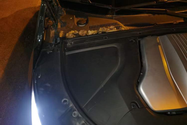 Used BYD Tang New Energy 2022 EV 730KM Luxury Model Engine Bay Right
