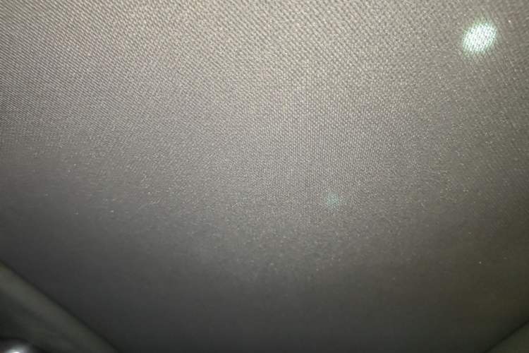 Used BYD Tang New Energy 2022 DM-p 215 km All-Wheel-Drive Deluxe Model Headliner