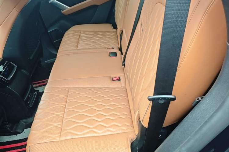 Used BYD Tang New Energy 2022 DM-p 215 km All-Wheel-Drive Deluxe Model Left Rear Seat