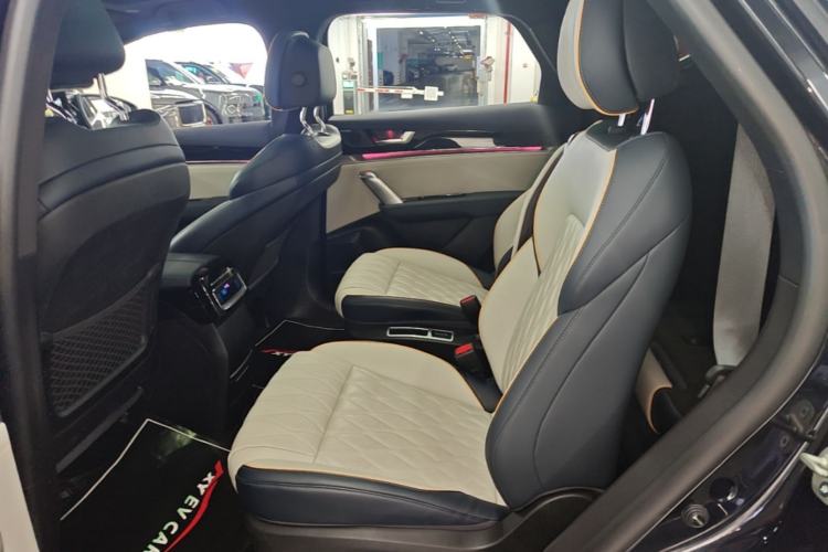 Used BYD Tang New Energy 2022 DM-p 215KM Four-Wheel Drive Flagship Model Left Rear Seat