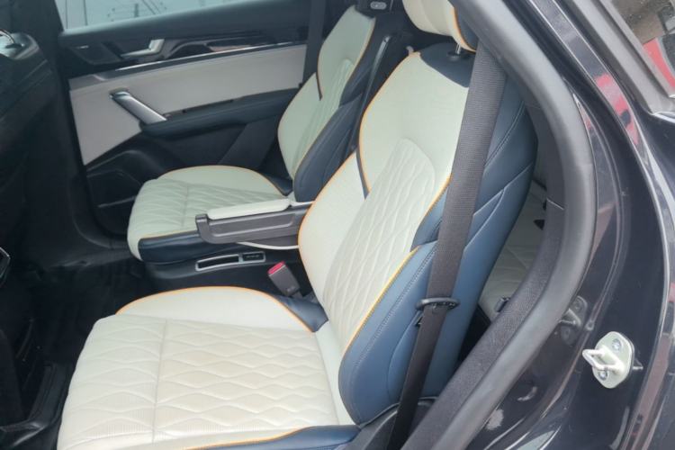 Used BYD Tang New Energy 2022 EV 730KM Luxury Model Left Rear Seat