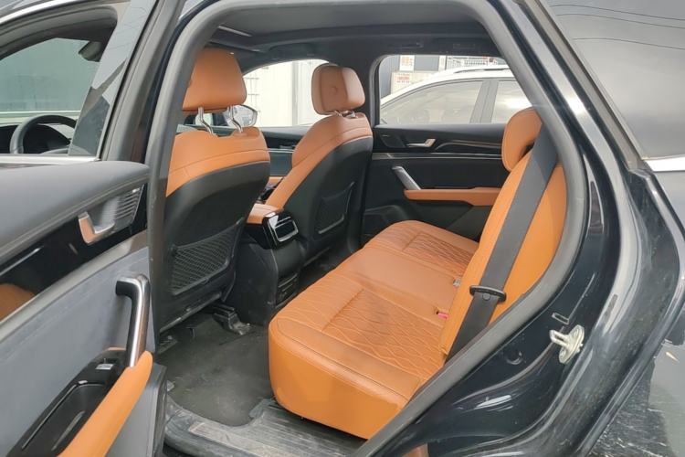 Used BYD Tang New Energy 2022 EV 730KM Luxury Model Left Rear Seat