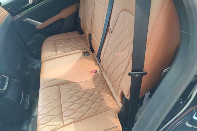 Used BYD Tang New Energy 2022 EV 730KM Luxury Model Left Rear Seat
