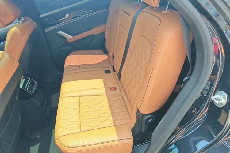 Used BYD Tang New Energy 2022 DM-p 215 km All-Wheel-Drive Deluxe Model Left Rear Seat