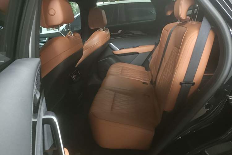 Used BYD Tang New Energy 2022 EV 730KM Luxury Model Left Rear Seat