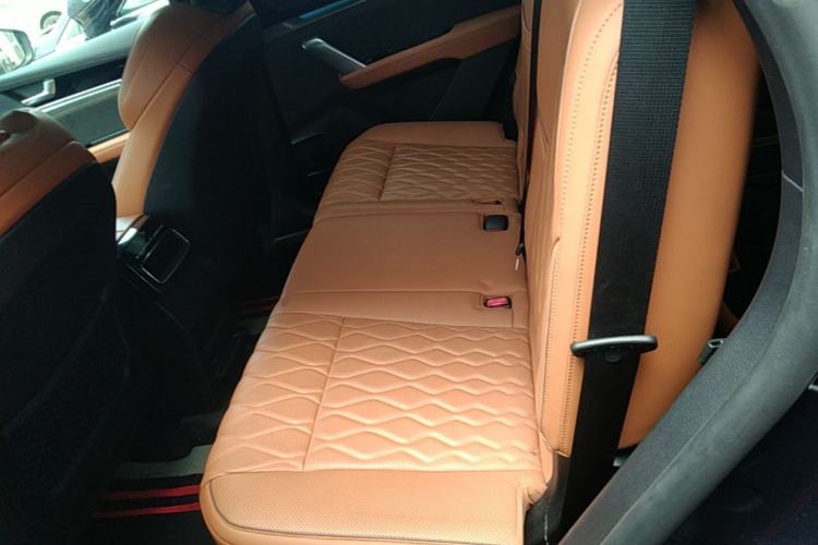 Used BYD Tang New Energy 2022 DM-p 215 km All-Wheel-Drive Deluxe Model Left Rear Seat