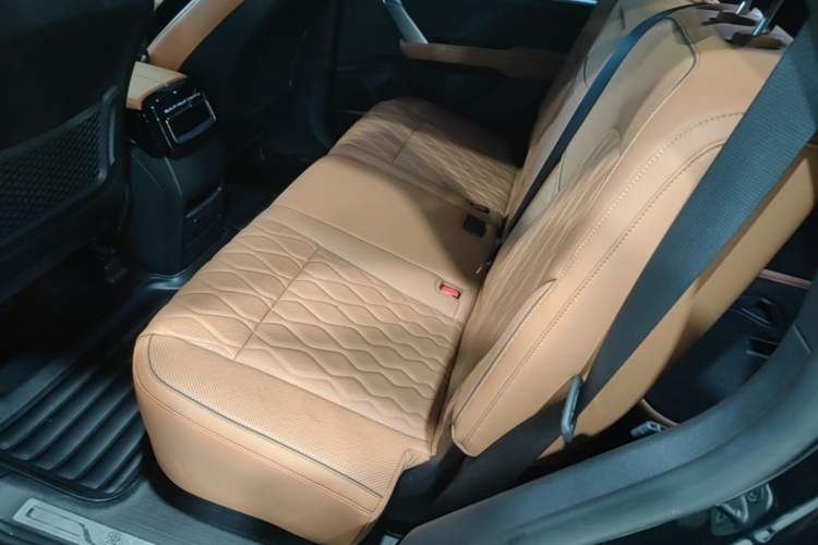 Used BYD Tang New Energy 2022 DM-p 215 km All-Wheel-Drive Deluxe Model Left Rear Seat