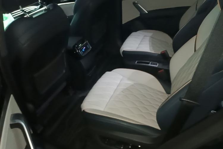 Used BYD Tang New Energy 2022 DM-p 215KM Four-Wheel Drive Flagship Model Left Rear Seat