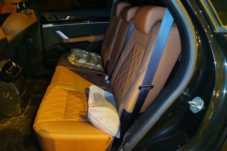 Used BYD Tang New Energy 2022 EV 730KM Luxury Model Left Rear Seat