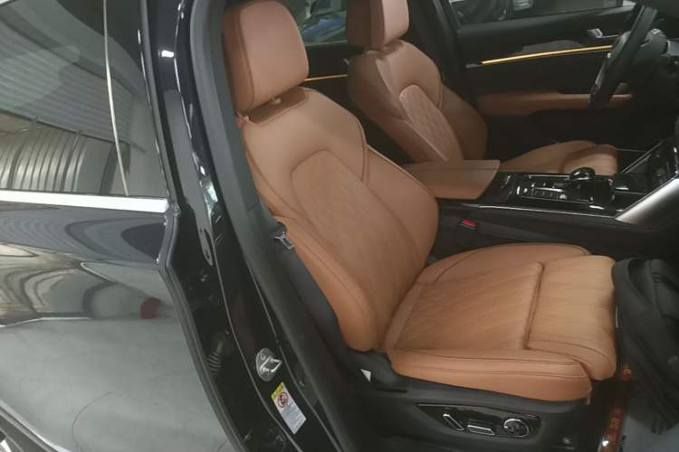 Used BYD Tang New Energy 2022 EV 730KM Luxury Model Right Front Seat