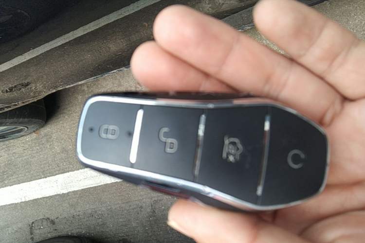 Used BYD Tang New Energy 2022 DM-p 215 km All-Wheel-Drive Deluxe Model Vehicle Key