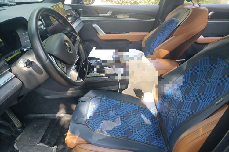 Used BYD Tang New Energy 2022 DM-p 215 km All-Wheel-Drive Deluxe Model Left Front Seat