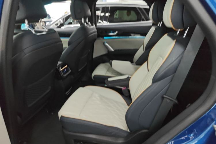 Used BYD Tang New Energy 2022 DM-p 215KM Four-Wheel Drive Flagship Model Left Rear Seat
