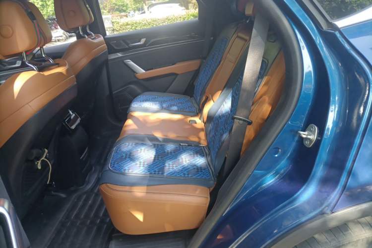Used BYD Tang New Energy 2022 DM-p 215 km All-Wheel-Drive Deluxe Model Left Rear Seat