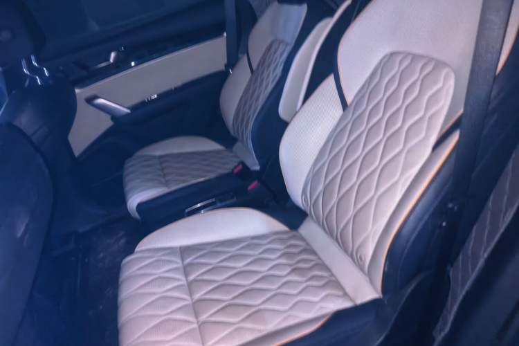 Used BYD Tang New Energy 2022 DM-p 215KM Four-Wheel Drive Flagship Model Left Rear Seat