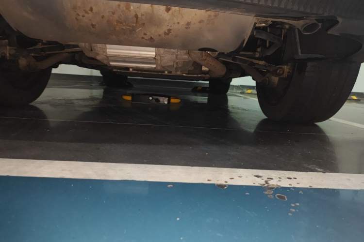 Used BYD Tang New Energy 2022 DM-p 215 km All-Wheel-Drive Deluxe Model Chassis Rear