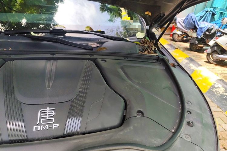 Used BYD Tang New Energy 2022 DM-p 215KM Four-Wheel Drive Flagship Model Engine Bay Left