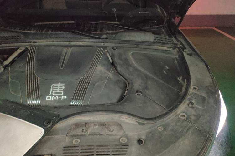 Used BYD Tang New Energy 2022 DM-p 215KM Four-Wheel Drive Flagship Model Engine Bay Left