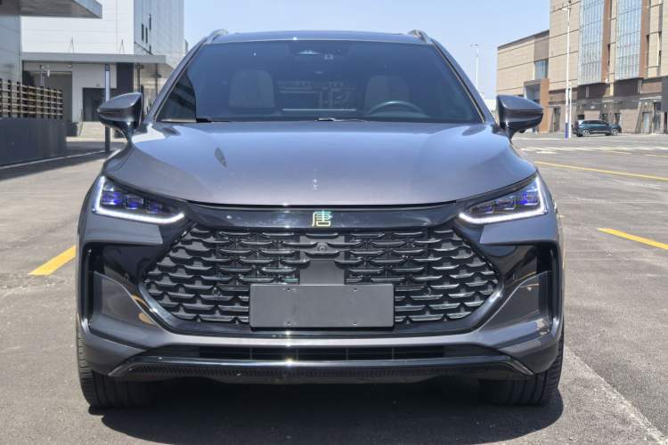 Used BYD Tang New Energy 2022 DM-p 215KM Four-Wheel Drive Flagship Model Exterior 1