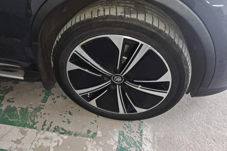 Used BYD Tang New Energy 2022 DM-p 215 km All-Wheel-Drive Deluxe Model Exterior 4