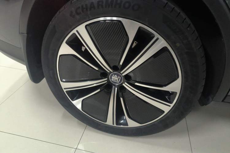 Used BYD Tang New Energy 2022 DM-p 215 km All-Wheel-Drive Deluxe Model Exterior 5