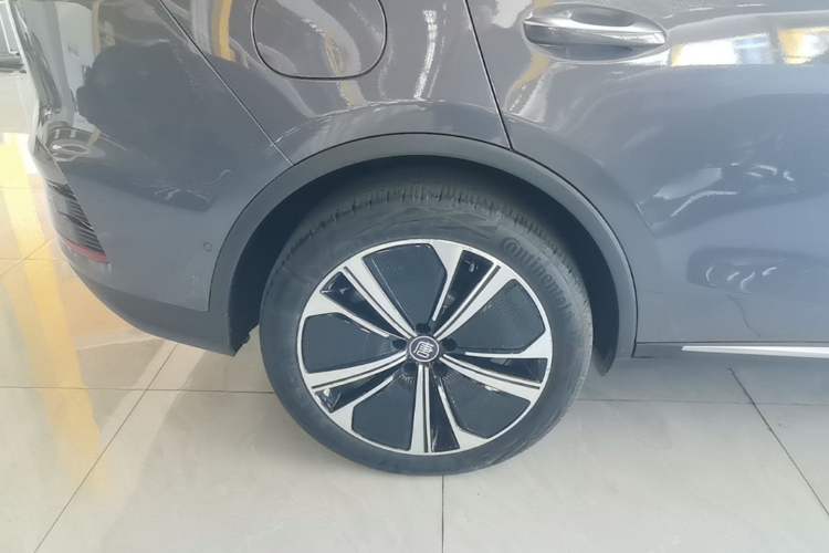 Used BYD Tang New Energy 2022 DM-p 215KM Four-Wheel Drive Flagship Model Exterior 5