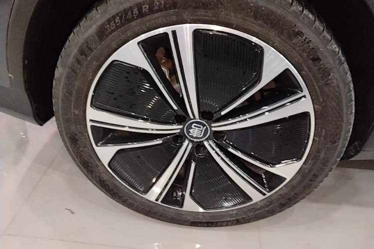 Used BYD Tang New Energy 2022 DM-p 215KM Four-Wheel Drive Flagship Model Exterior 5