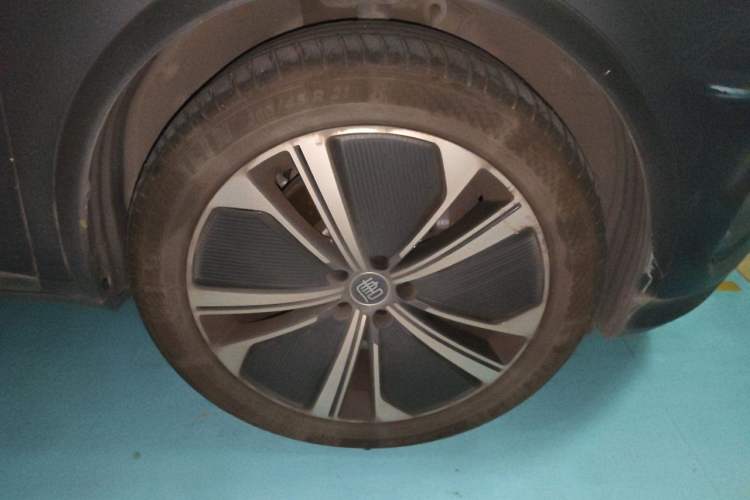 Used BYD Tang New Energy 2022 DM-p 215KM Four-Wheel Drive Flagship Model Exterior 7