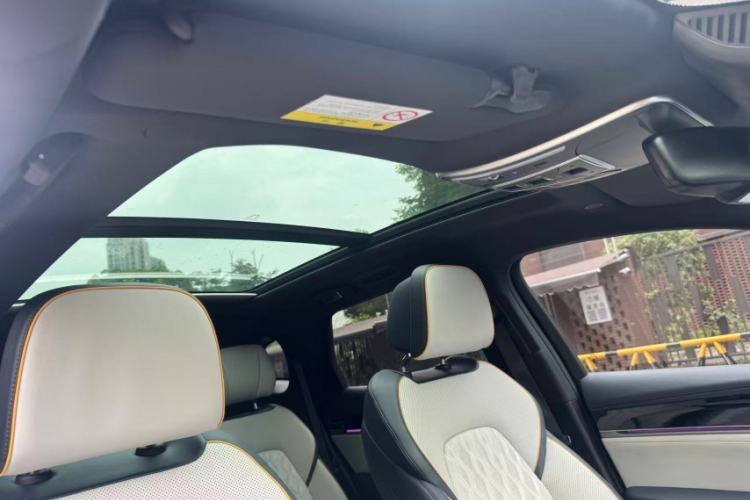 Used BYD Tang New Energy 2022 DM-p 215KM Four-Wheel Drive Flagship Model Headliner