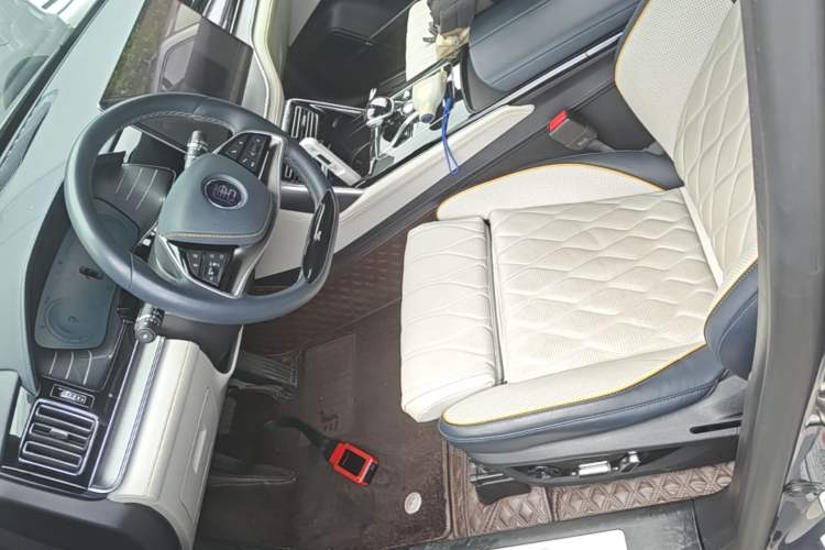 Used BYD Tang New Energy 2022 DM-p 215 km All-Wheel-Drive Deluxe Model Left Front Seat