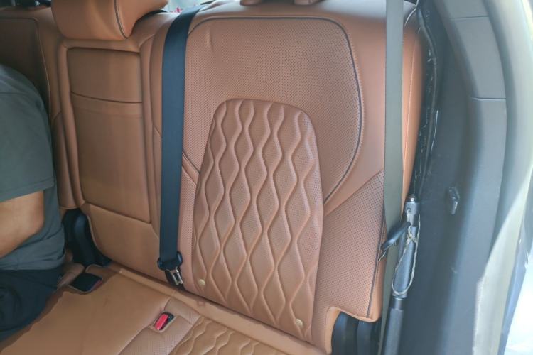 Used BYD Tang New Energy 2022 DM-p 215 km All-Wheel-Drive Deluxe Model Left Rear Seat