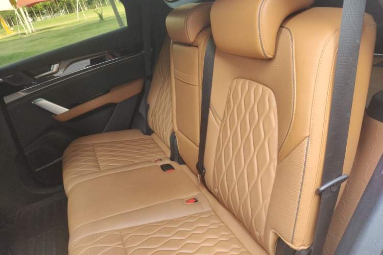 Used BYD Tang New Energy 2022 DM-p 215KM Four-Wheel Drive Flagship Model Left Rear Seat