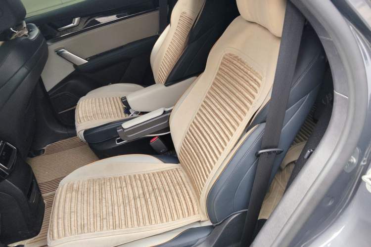 Used BYD Tang New Energy 2022 DM-p 215KM Four-Wheel Drive Flagship Model Left Rear Seat