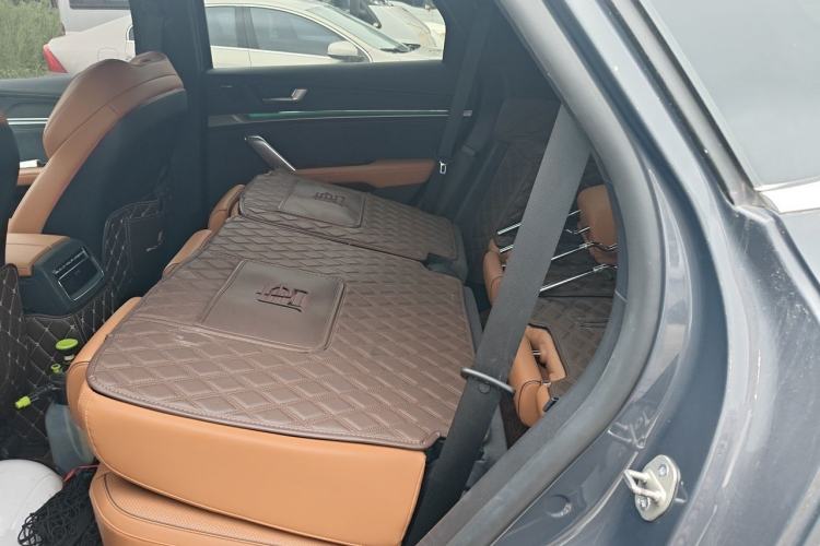 Used BYD Tang New Energy 2022 DM-i 252km Luxury Model Left Rear Seat