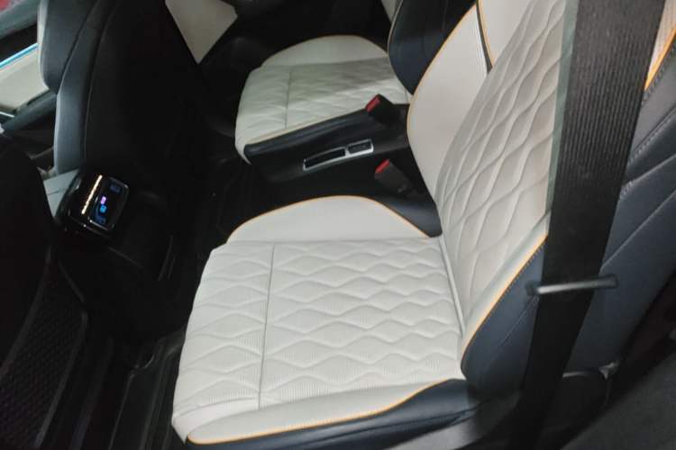 Used BYD Tang New Energy 2022 DM-p 215KM Four-Wheel Drive Flagship Model Left Rear Seat