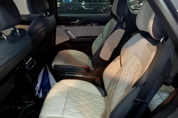 Used BYD Tang New Energy 2022 EV 635 km All-Wheel-Drive Flagship Model Left Rear Seat