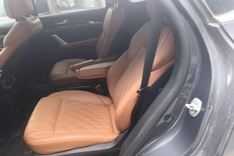 Used BYD Tang New Energy 2022 EV 635 km All-Wheel-Drive Flagship Model Left Rear Seat