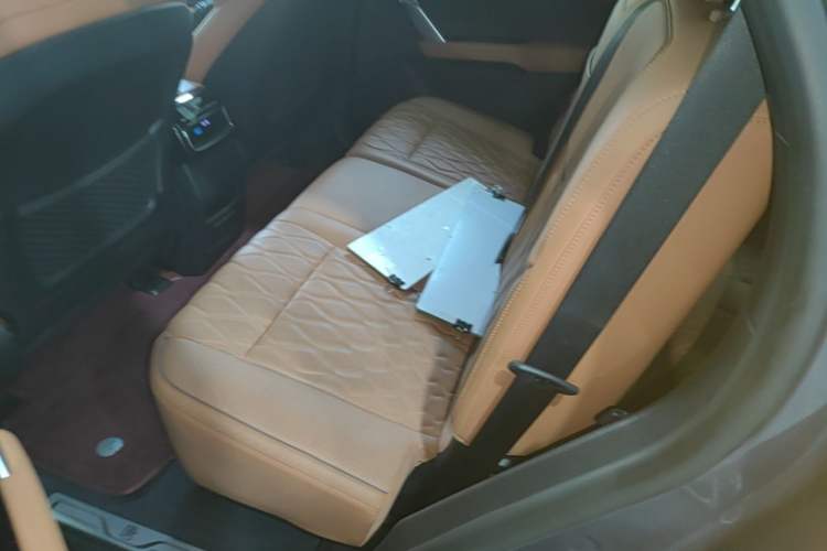 Used BYD Tang New Energy 2022 DM-i 252km Luxury Model Left Rear Seat