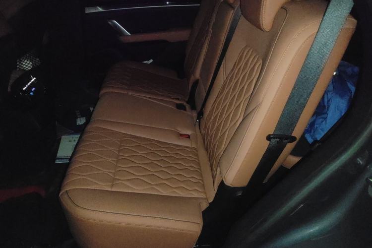 Used BYD Tang New Energy 2022 DM-p 215KM Four-Wheel Drive Flagship Model Left Rear Seat