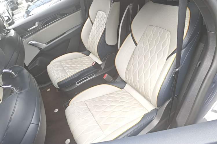 Used BYD Tang New Energy 2022 DM-p 215 km All-Wheel-Drive Deluxe Model Left Rear Seat