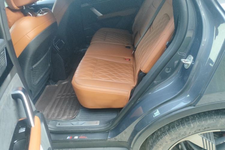 Used BYD Tang New Energy 2022 DM-i 252km Luxury Model Left Rear Seat