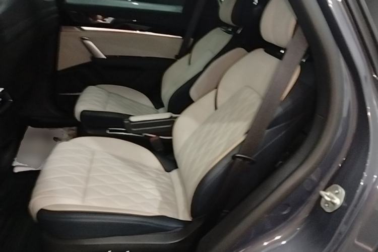 Used BYD Tang New Energy 2022 DM-p 215KM Four-Wheel Drive Flagship Model Left Rear Seat